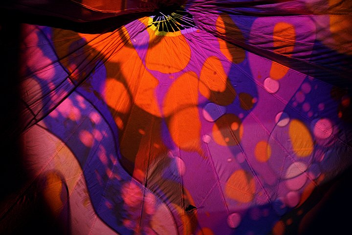 492958836 24c59770b2 o