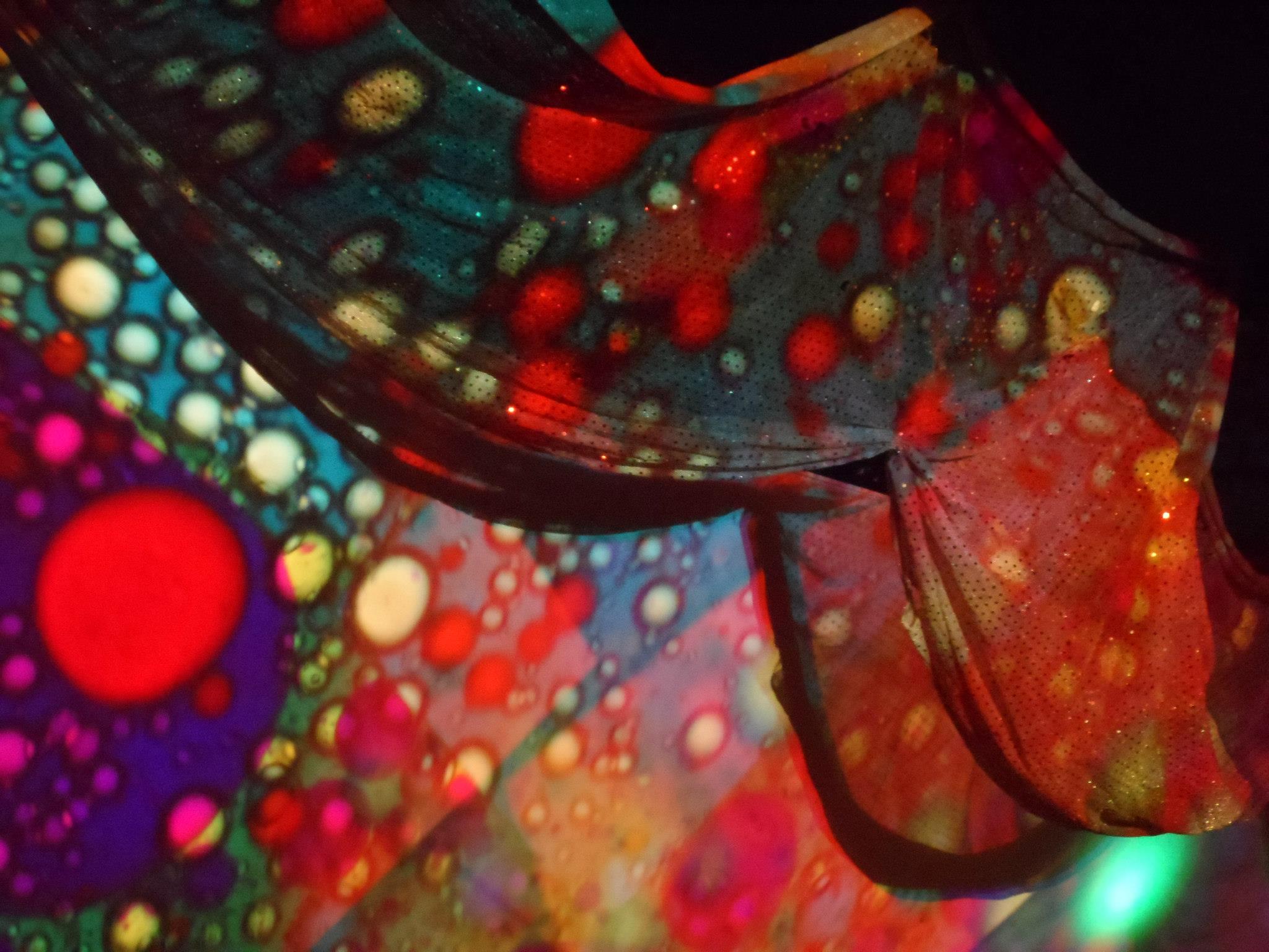 858181 10151743983226521 1046938810 o