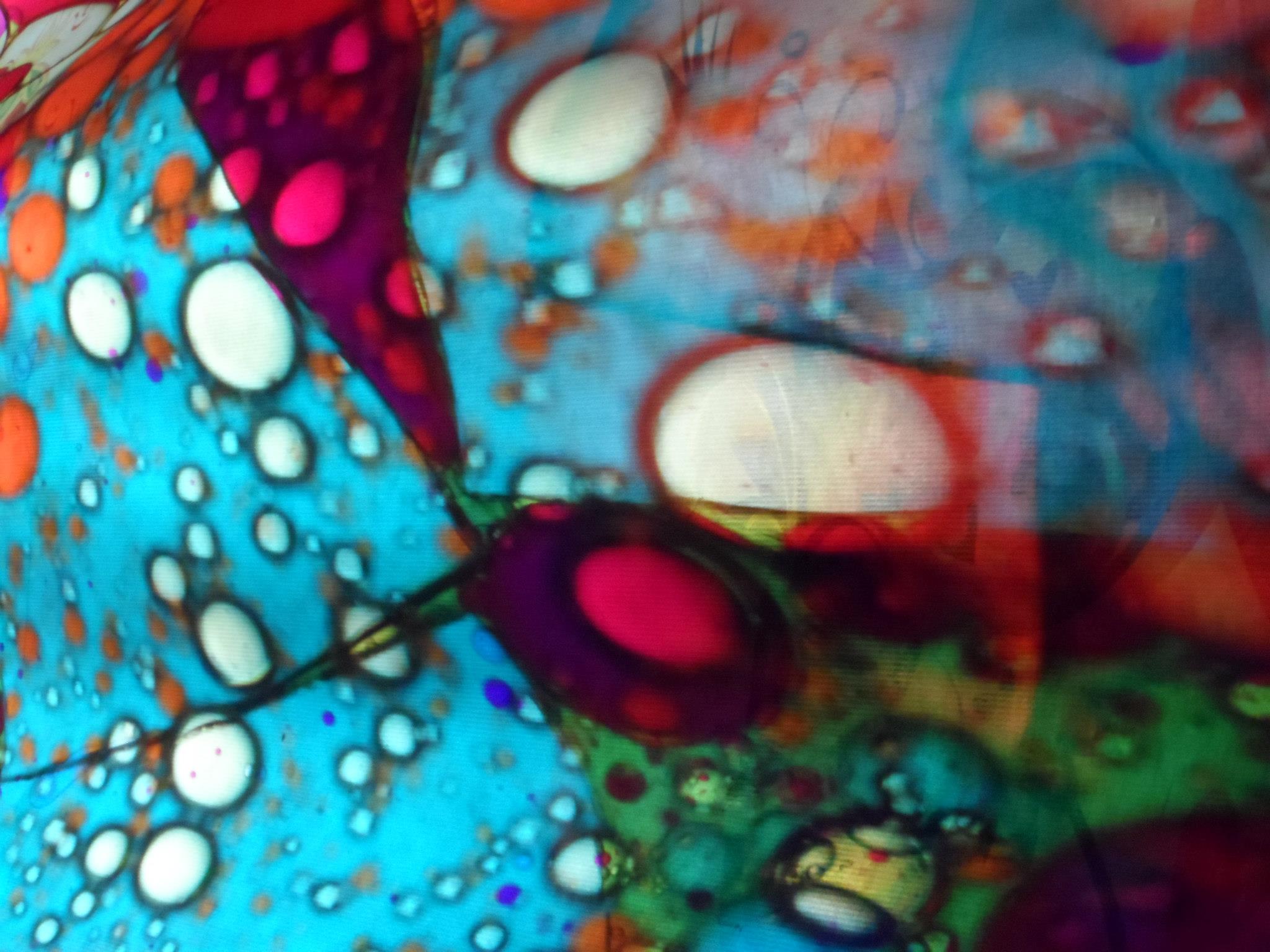 861355 10151743985786521 1334956953 o