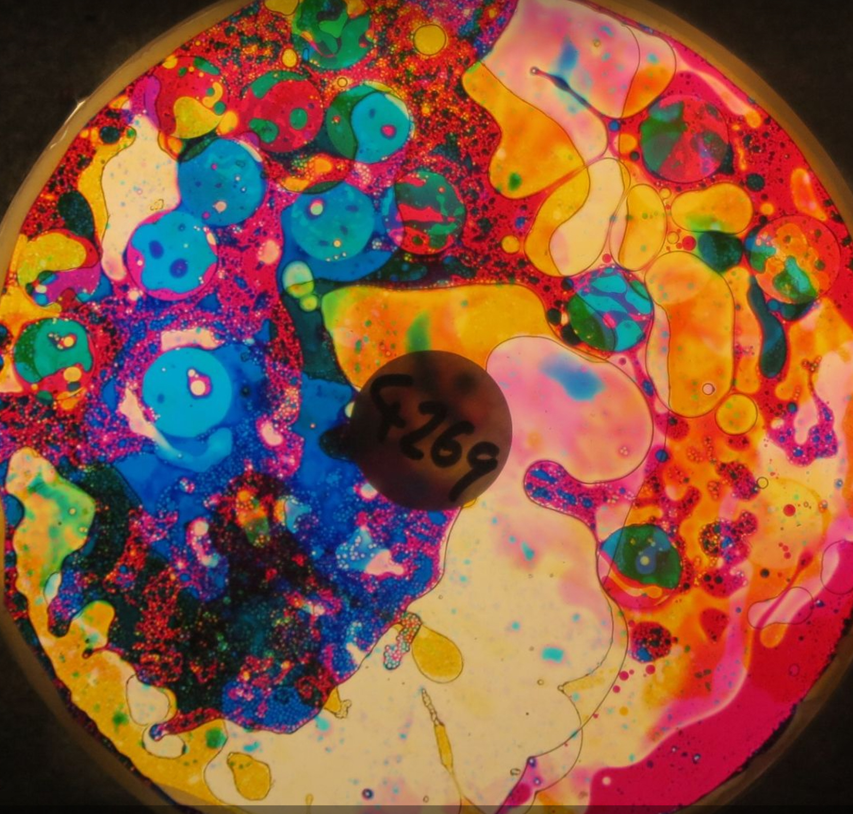 6 Inch Oil Wheels and 3 Inch Cassettes